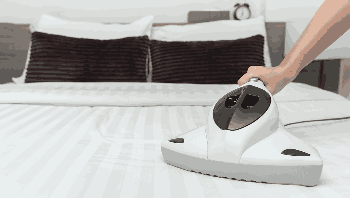 Professional Mattress Cleaning Point Wilson