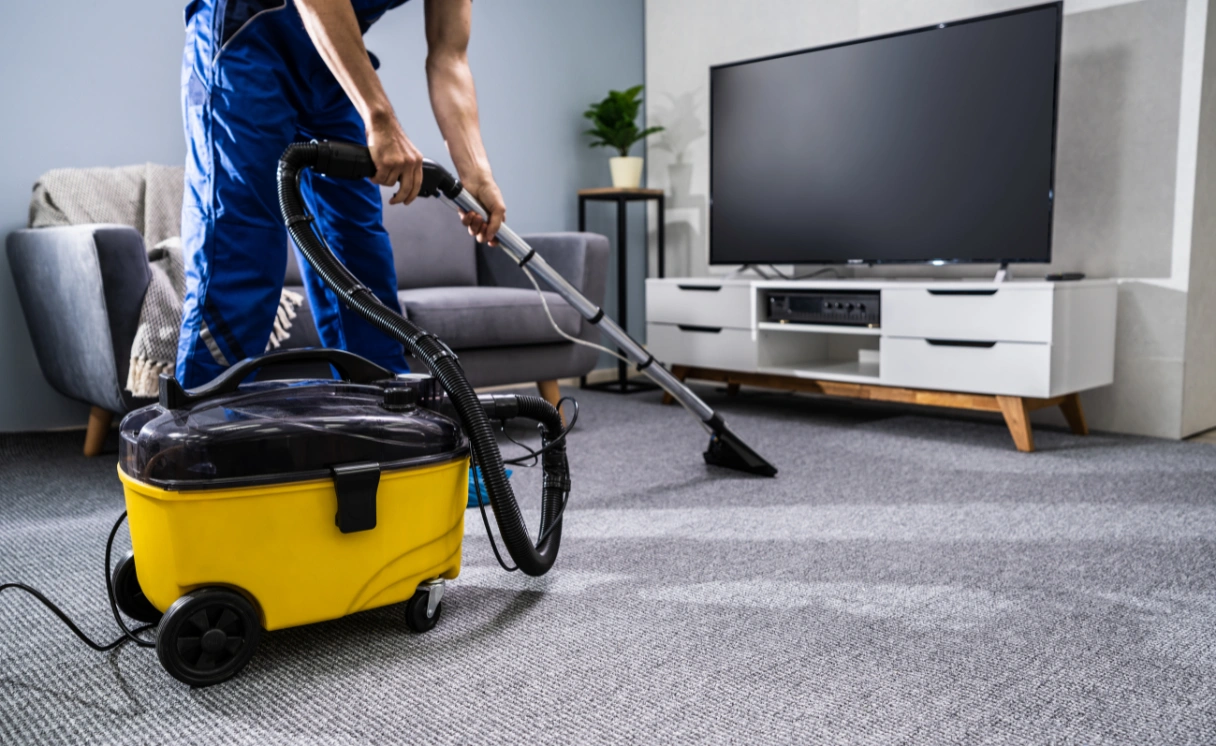 Extract Mattress Cleaning Point Wilson Contact Office